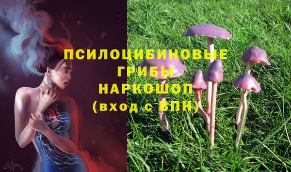 прущий лед Лабытнанги