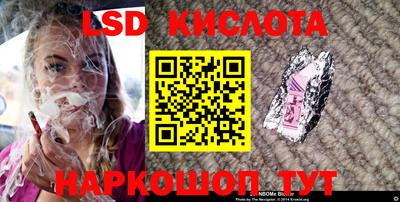 гидропоника Бийск