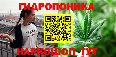 амф Берёзовский