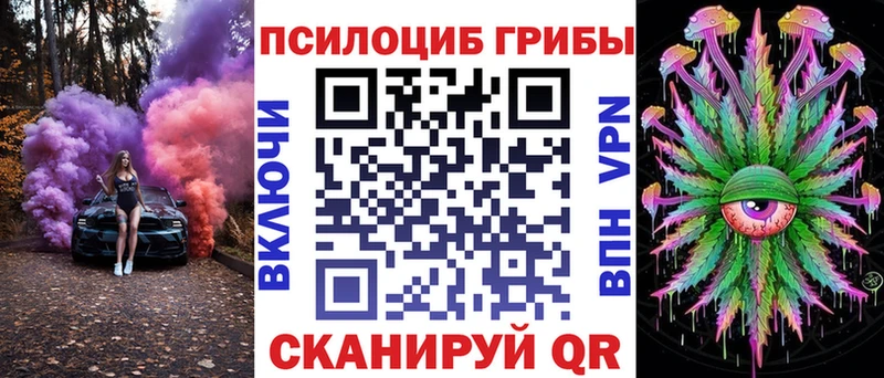 цена наркотик MEGA tor Галлюциногенные грибы Psilocybine cubensis Великий Новгород