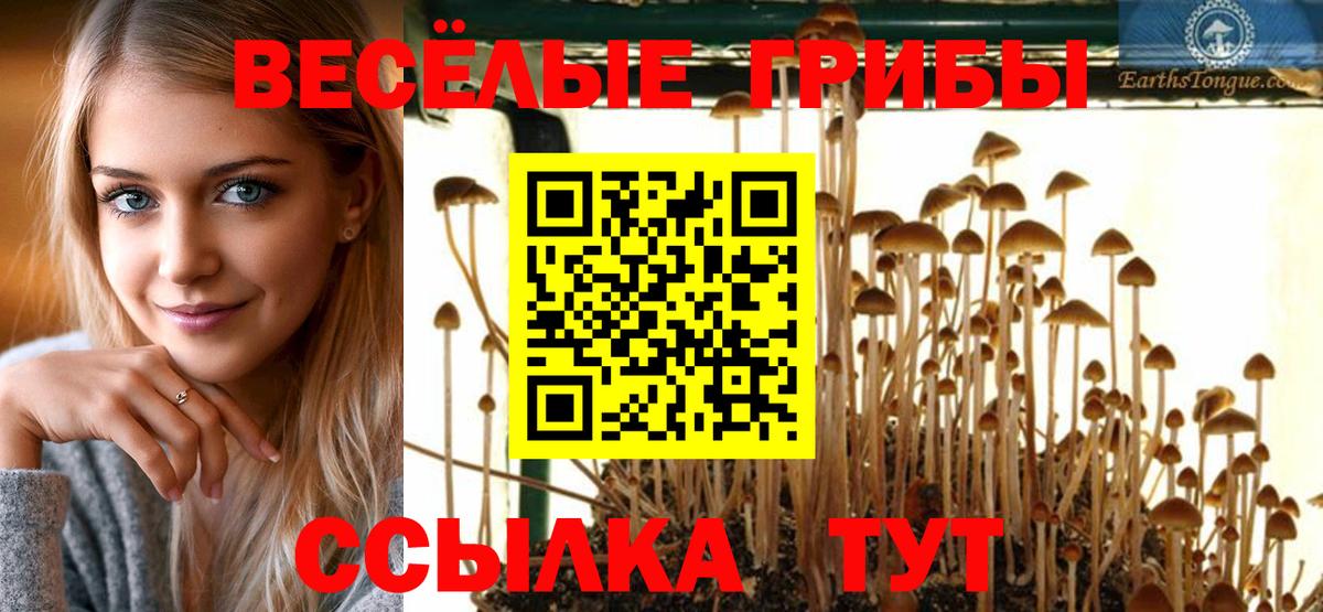 Галлюциногенные грибы MAGIC MUSHROOMS Великий Новгород