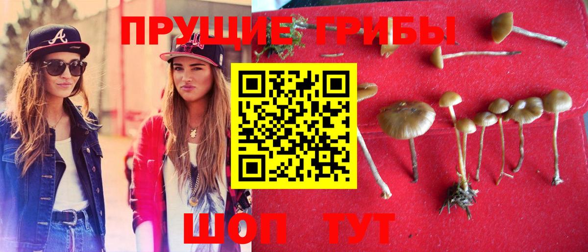 Галлюциногенные грибы прущие грибы  где купить   Великий Новгород 