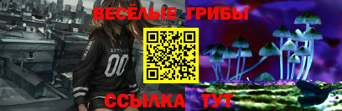 Псилоцибиновые грибы мухоморы  Вход с VPN  Великий Новгород 